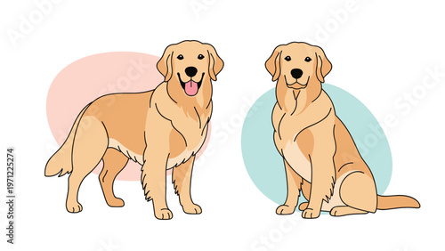 Friendly illustrations of two golden retrievers, one standing with a happy expression and one sitting calmly against simple colored backgrounds.