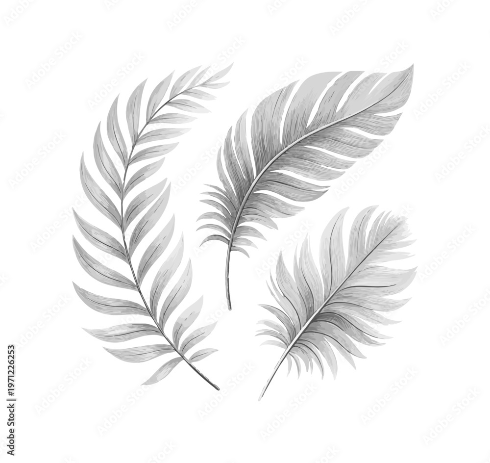 Fototapeta premium Elegant Hand-Drawn Tropical Palm Leaves SVG Set – Minimal Botanical Line Art Illustration