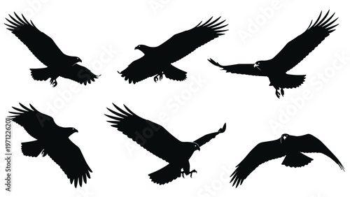 Group of six black silhouettes of eagles soaring and diving through the air, shown from different angles on a white background.