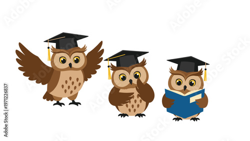 Three wise owls wearing graduation caps, with one reading a blue book and others gesturing, isolated on a white background.