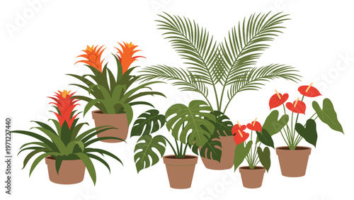 Set of vibrant tropical houseplants including monstera and bromeliad in terracotta pots for home decoration.