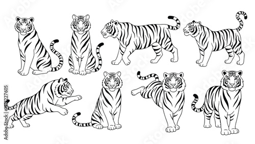Collection of eight tigers illustrated in black and white line art showing different poses like walking and sitting.