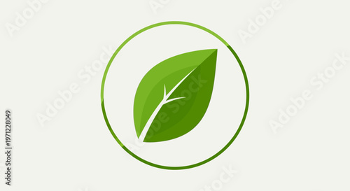 Minimalistic green leaf icon in a circle, representing nature and environment protection