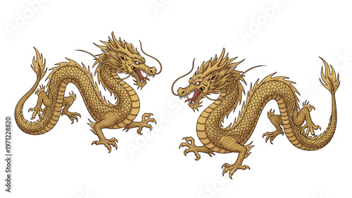 Two majestic golden chinese dragons facing each other with intricate scales and whiskers in a traditional mythological style.