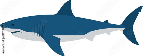 Blue Shark Side View Illustration.