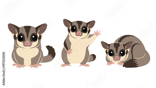 Three cute sugar gliders in different poses including one waving its hand and another curled up on a plain white background for mascot design.