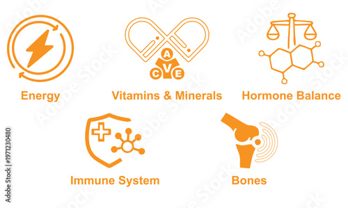Modern healthcare icon set featuring vitamins & minerals, immune system, energy, bones, and hormone balance in a clean minimal vector style ideal for wellness and medical designs.