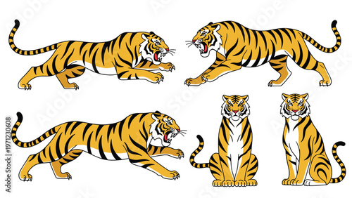 Set of five detailed tiger illustrations showing the powerful animal in various poses like pouncing walking and sitting majestically alone.