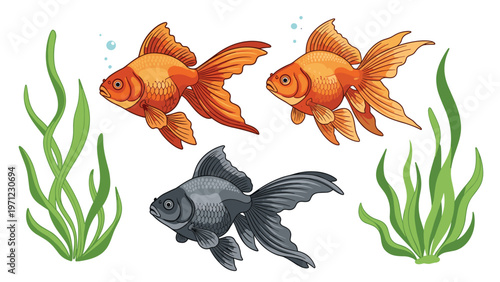 Three beautifully detailed goldfish including two bright orange ones and one black one swimming among green aquatic seaweed and bubbles.
