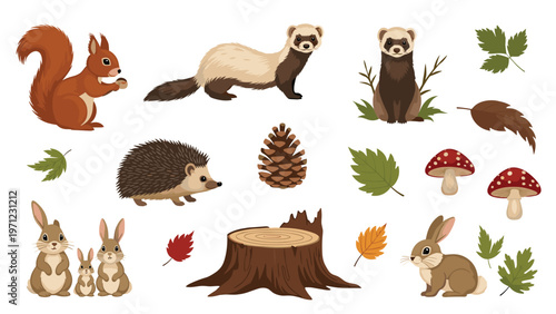 Collection of forest wildlife and nature elements including squirrels ferrets hedgehogs rabbits mushrooms fall leaves and a tree stump.