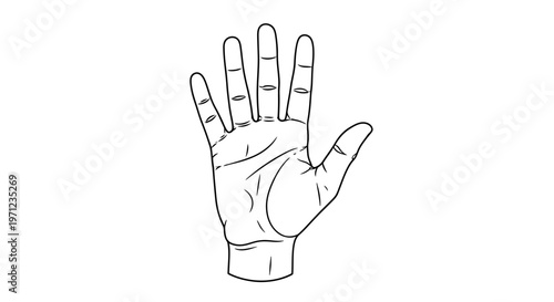 Simple Outline Drawing of an Open Hand Showing All Five Fingers Extended in a Clear and Minimalist Style