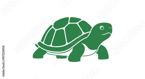 A serene graphic depiction of a green tortoise on a pristine white background