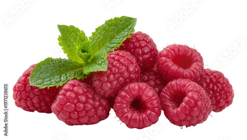 Crimson ripe raspberries with fresh green mint leaves