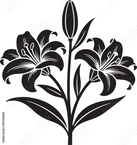 black and white floral design