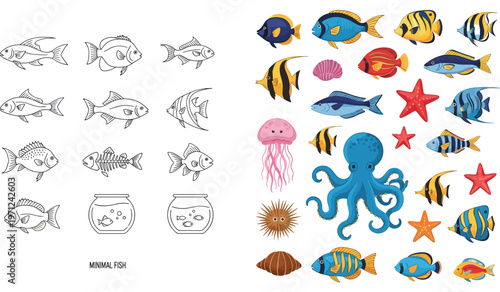 Minimal Fish Outline Icon Set and Colorful Marine Life Collection Vector Illustration with Tropical Ocean Animals Isolated on Transparent Background