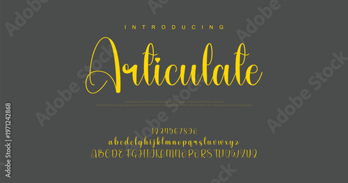 signature Font Calligraphy Logotype Script Brush Font Type Font lettering handwritten. vector illustration