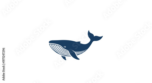 Minimalist navy blue whale illustration set against a pristine white backdrop design