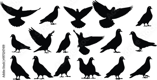 Bild auf Leinwand Large set of pigeon and dove silhouettes in various flying, landing, and standin