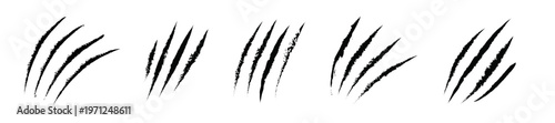 Konstfotografi sets of black claw marks resembling animal scratches