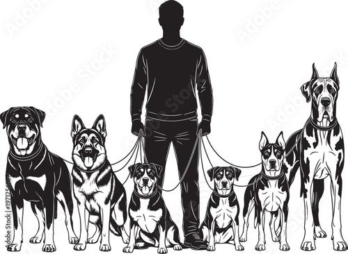 Professional dog walker silhouette standing with large group of diverse canine breeds on leashes for pet care animal service and canine training vector.