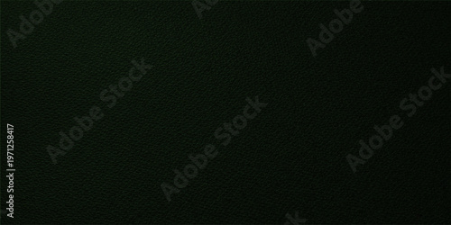 The stark darkness, an artistic representation of a deep night, symbolizing mystery.