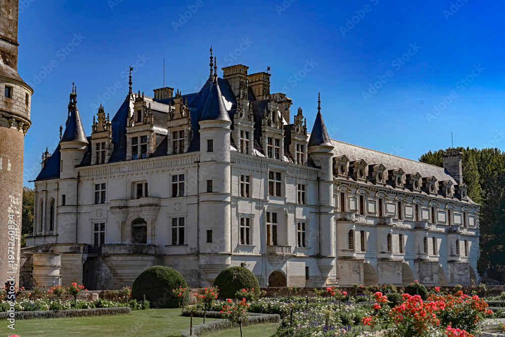 Fototapeta premium Castle Chenonceau, river Loire valley, France