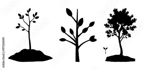 Reforestation tree sapling icon set with solid black icon on white background, simple line art illustration featuring reforestation, sapling, tree with vector, design