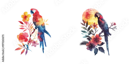 abstract color silhouette of parrot and tropical flowers watercolor vector illustration