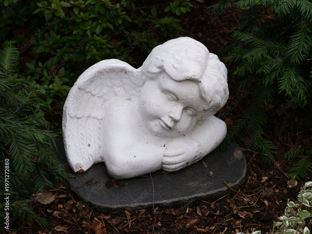 Fototapeta premium Angel statues in the cemetery