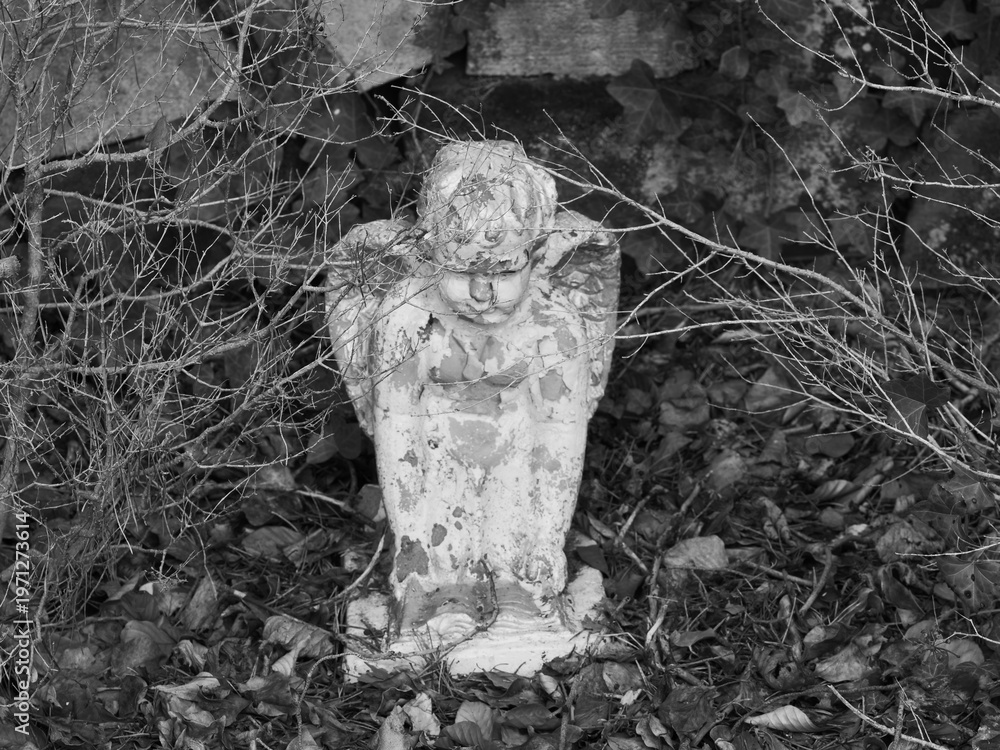 Fototapeta premium Angel statues in the cemetery