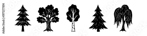 Set of hand-drawn tree silhouettes in black ink. Includes pine, oak, birch, and willow designs. Minimalist forest elements isolated on white for nature-themed graphic design and crafts.