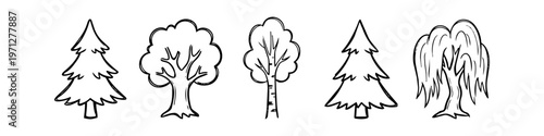 Hand-drawn tree icons set in minimalist black and white line art style. Includes pine, oak, birch, spruce, and willow doodles for nature and forest design projects.