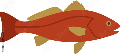 Red Fish Side View Illustration.
