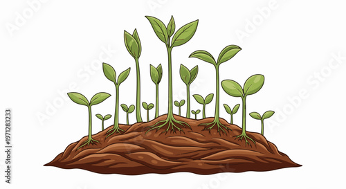 Young green sprouts with visible roots emerge from rich brown soil