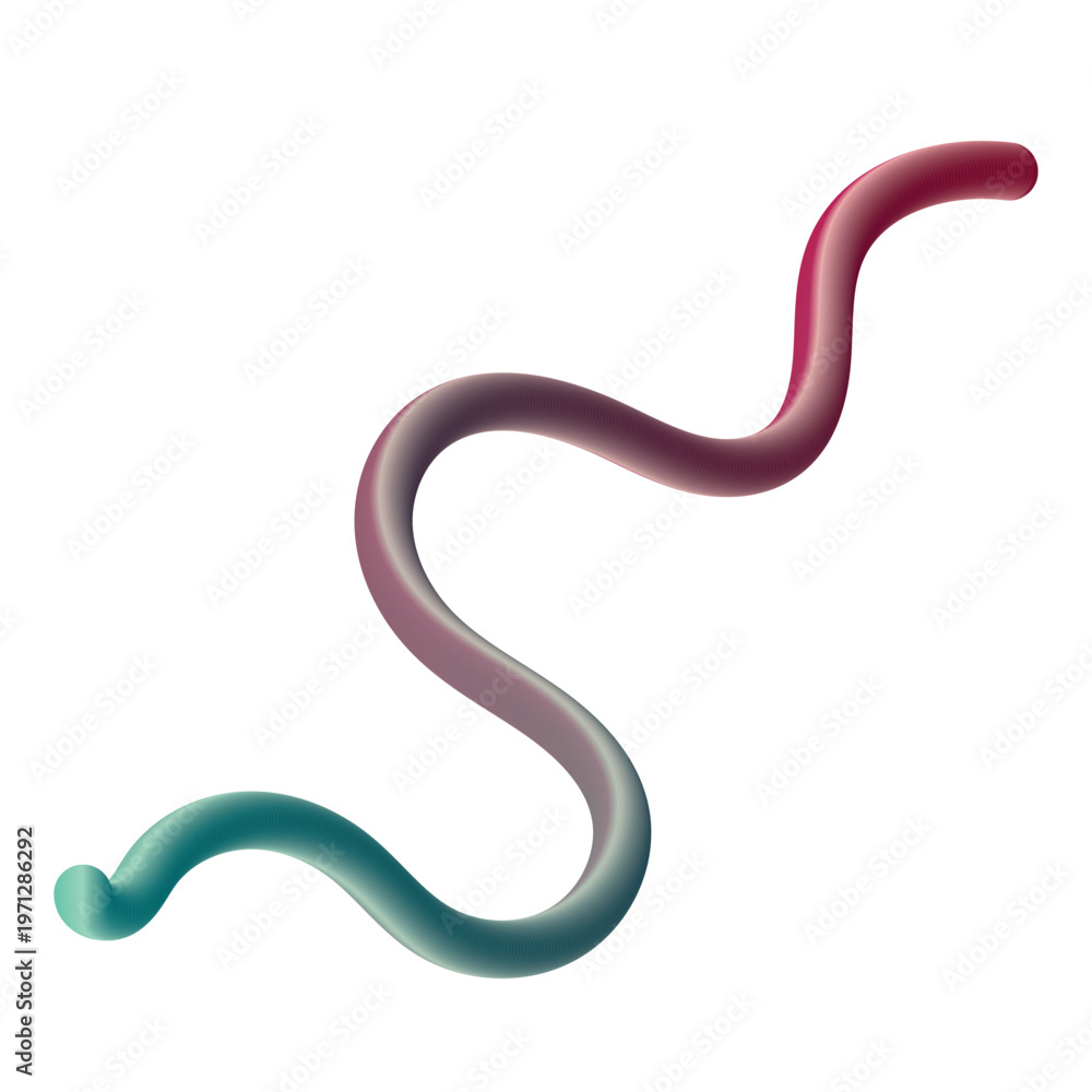 Fototapeta premium A macro closeup of a wild red and brown cobra reptile isolated on a white background, captured as an abstract nature serpent resembling a large earthworm in the wildlife