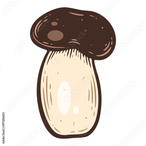 Porcini mushroom, with large brown cap, colourful, hand-drawn illustration, line art contour, isolated