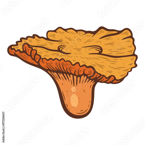 Lobster mushrooms, parasitic edible orange fungi, colourful, hand-drawn illustration, line art contour, isolated