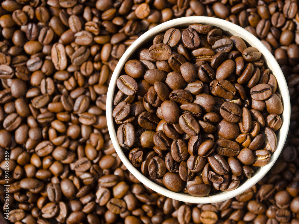 Fototapeta premium Roasted coffee beans. Selected Arabica beans.