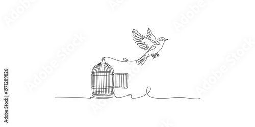 A bird flying away from an open birdcage in a single line drawing style freedom
