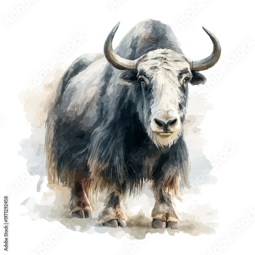 Stylized watercolor Yak vector, modern artistic illustration with high-quality details on a pure white background.