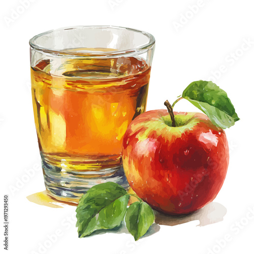 Apple Cider watercolor artwork, high-quality professional vector illustration isolated on a white background.