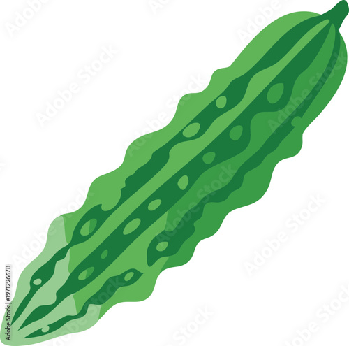 Bitter Melon Vector Illustration Green Gourd Healthy Vegetable