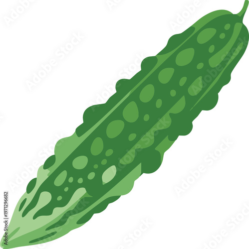 Bitter Melon Vector Illustration Green Gourd Healthy Vegetable