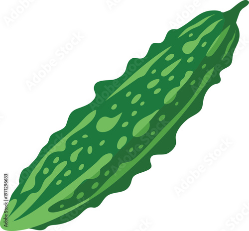 Bitter Melon Vector Illustration Green Gourd Healthy Vegetable