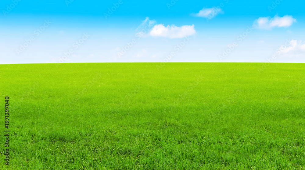 Fototapeta premium Minimal green grass field and blue sky landscape background with wide copy space