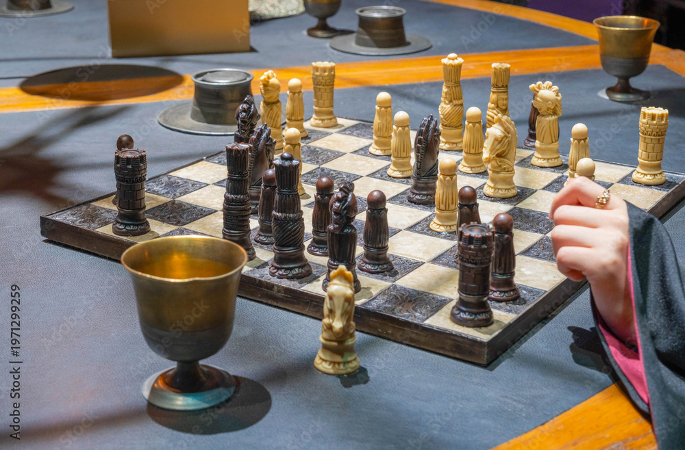 Fototapeta premium Nerima-ku, Tokyo Japan. February 13, 2024. A large Harry Potter wizard chessboard. 
