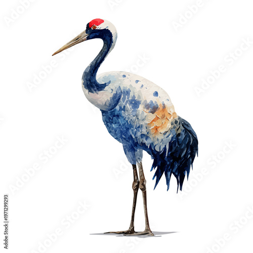 Watercolor Crane vector, artistic painting style, high-resolution illustration on a pure white background.