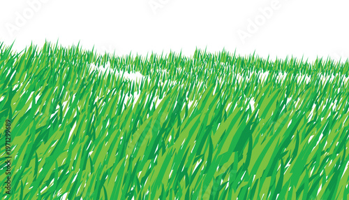 Green grass blades abstract background with white space