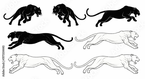 Vector collection of seven black panther and cougar illustrations in dynamic poses including leaping and pouncing, featuring both solid black silhouettes and detailed line art.