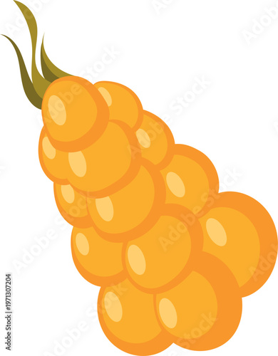 orange fruit isolated on white background